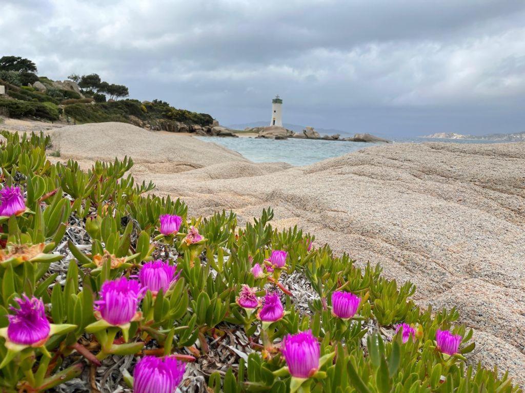 Il Bouganville A 150M Dalla Spiaggia Con Vista Sulla Splendida Baia Di Porto Raphael Palau Dış mekan fotoğraf