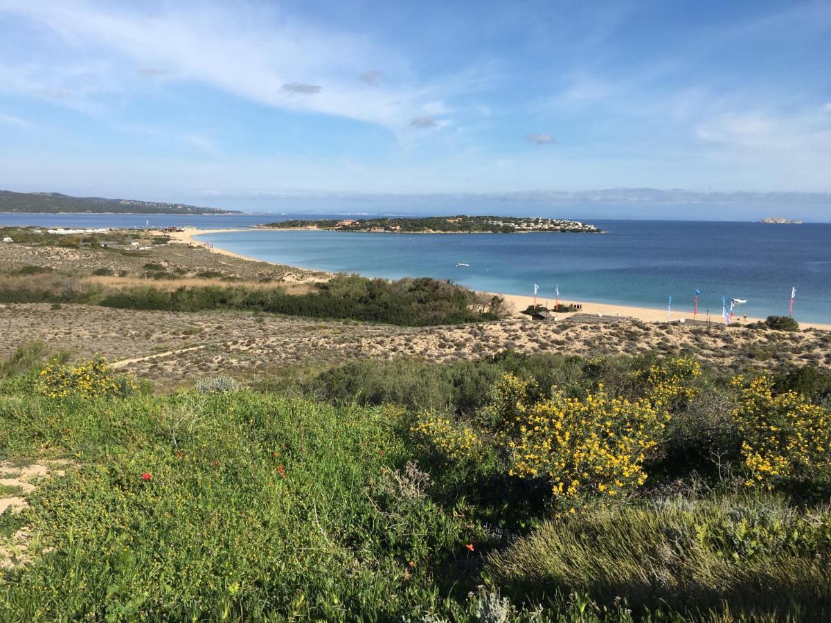 Il Bouganville A 150M Dalla Spiaggia Con Vista Sulla Splendida Baia Di Porto Raphael Palau Dış mekan fotoğraf
