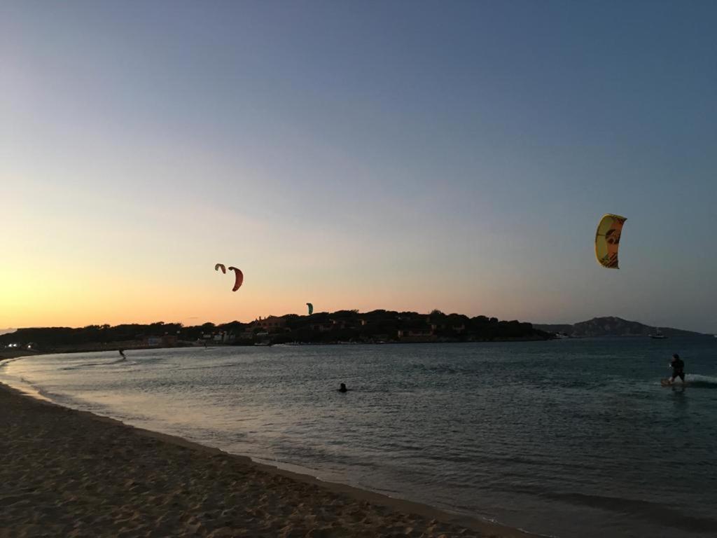 Il Bouganville A 150M Dalla Spiaggia Con Vista Sulla Splendida Baia Di Porto Raphael Palau Dış mekan fotoğraf