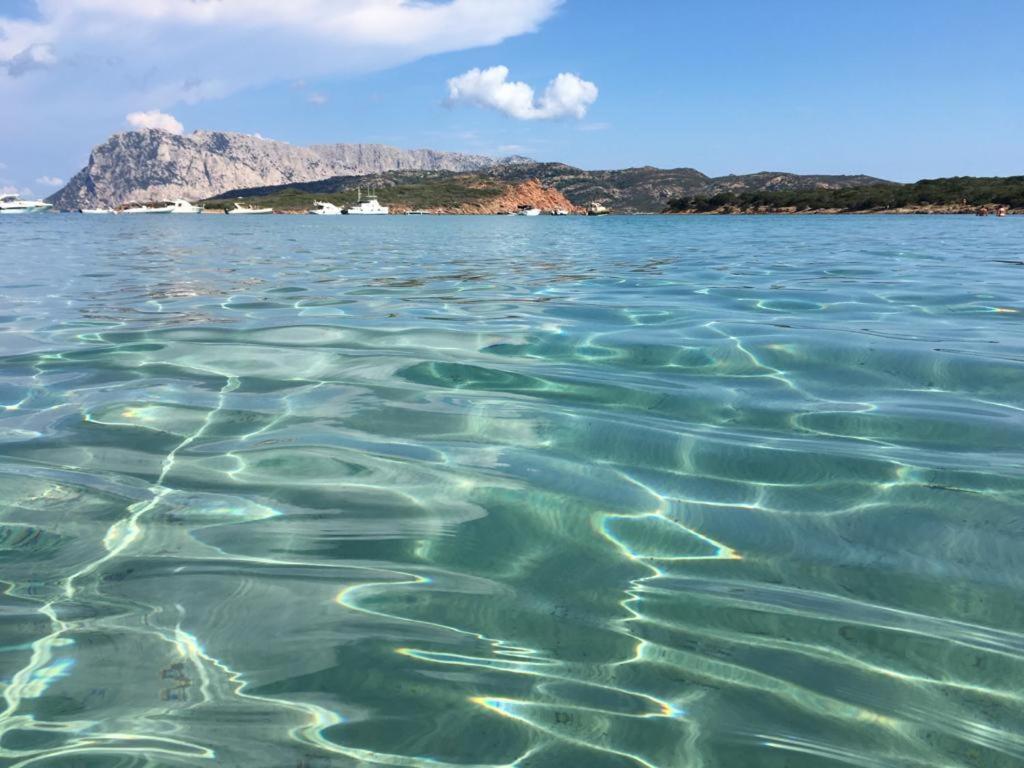 Il Bouganville A 150M Dalla Spiaggia Con Vista Sulla Splendida Baia Di Porto Raphael Palau Dış mekan fotoğraf